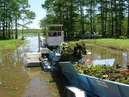 LakeMowing2